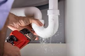 Best Commercial Plumbing Services  in Morris, MN